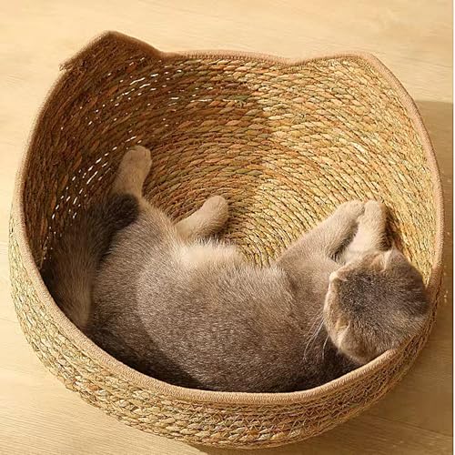 Rattan Katzenbett, 35cm Rund Katzenkorb, Handgefertigter Rattankorb Mit Baumwolle Kissen Plüsch, Für Alle Jahreszeiten