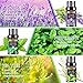AESHORY Ätherische Öle Set für Diffuser 6 x 10ML, 100% Naturrein Aromatherapie Duftöl, Aroma Öl Geschenkset für Seife, Kerzen, Luftbefeuchter, SPA - Lavendel, Minze, Teebaum, Süßorange, Eukalyptus
