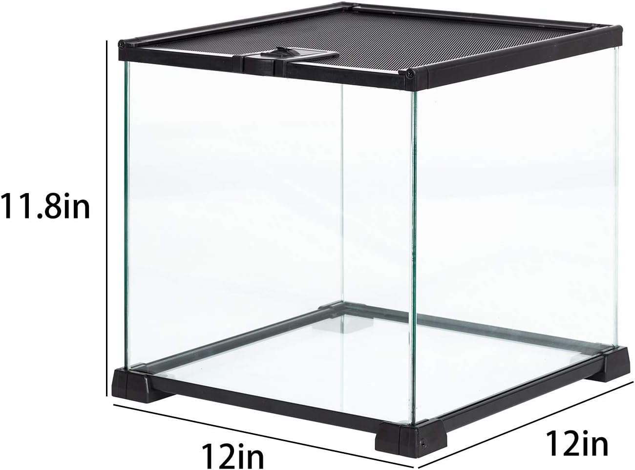Sale 31 31 30cm 飼育ケージ 飼育用ケース 爬虫類 両生類 グラステラリウム Zoo Repti 爬虫類 両生類 Indonesiadevelopmentforum Com
