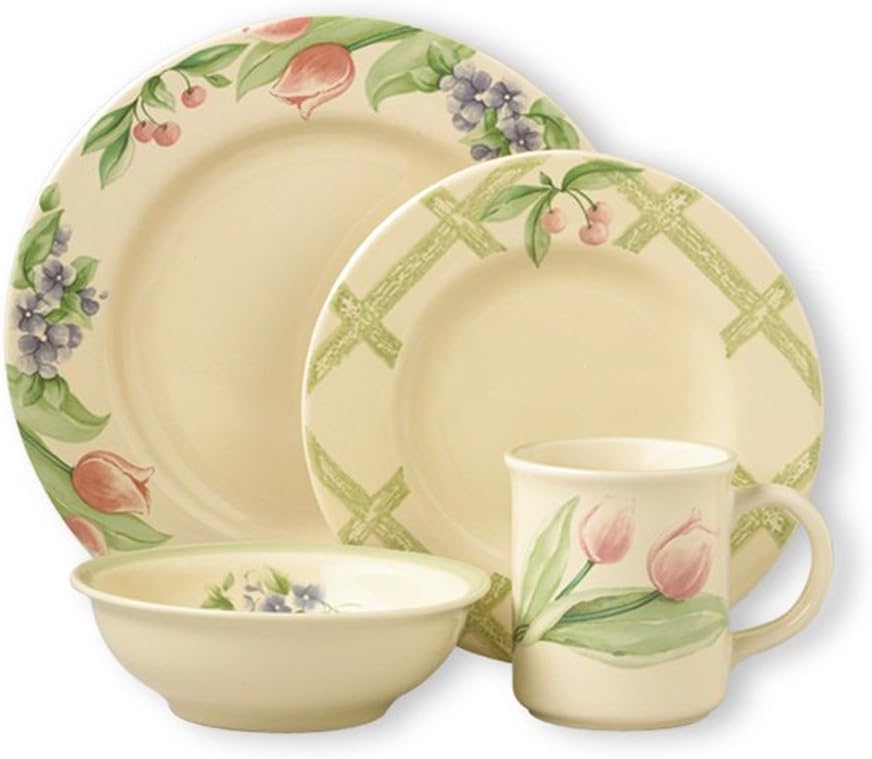 Amazon.com | Pfaltzgraff Garden Party Dinnerware Set (16 Piece ...