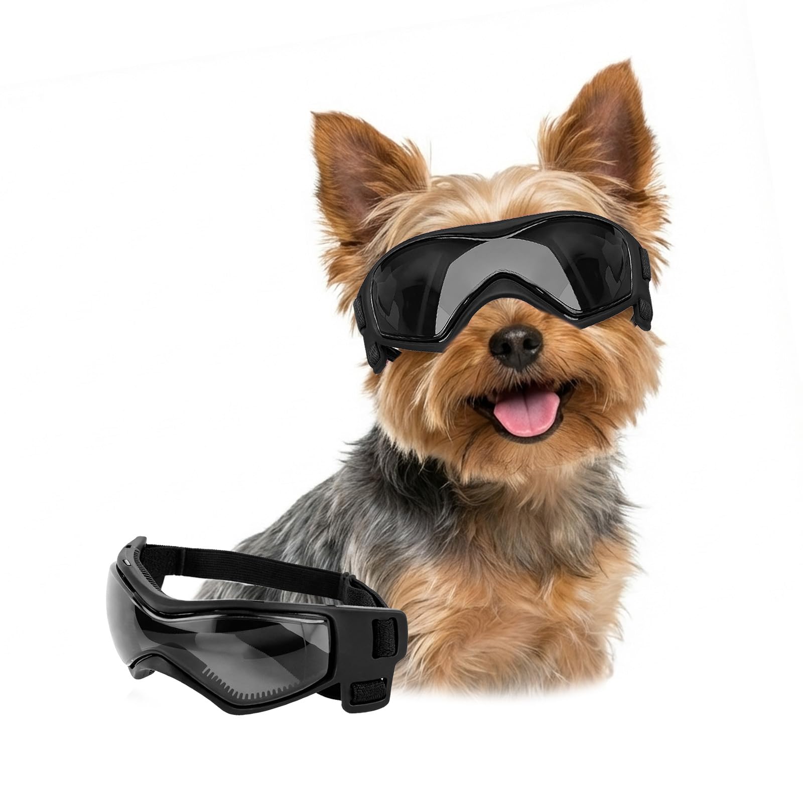 Lunettes de soleil pour petit chien anti-poussière noir