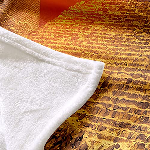 Couverture polaire flannel 100x150cm plaid multicolore Pyramides - 5