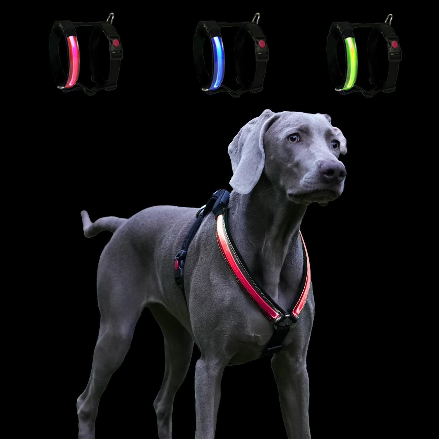 Szelki LED Luminous Pettystore dla psa, wodoodporne z akumulatorem ładowanym przez USB - do 10 godzin pracy na baterii- Wygodne szelki neoprenowe dla psów średnich i dużych. (S Czerwony)