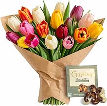Mixed Colour Tulip Bouquet Fresh Cut Seasonal Flowers With Chocolate or Balloon (chocolate)