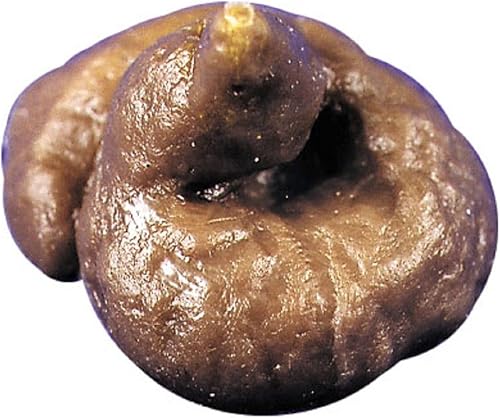 Morris Costumes Perro Dunit Mini Poodle Fake Poop Prop Gag