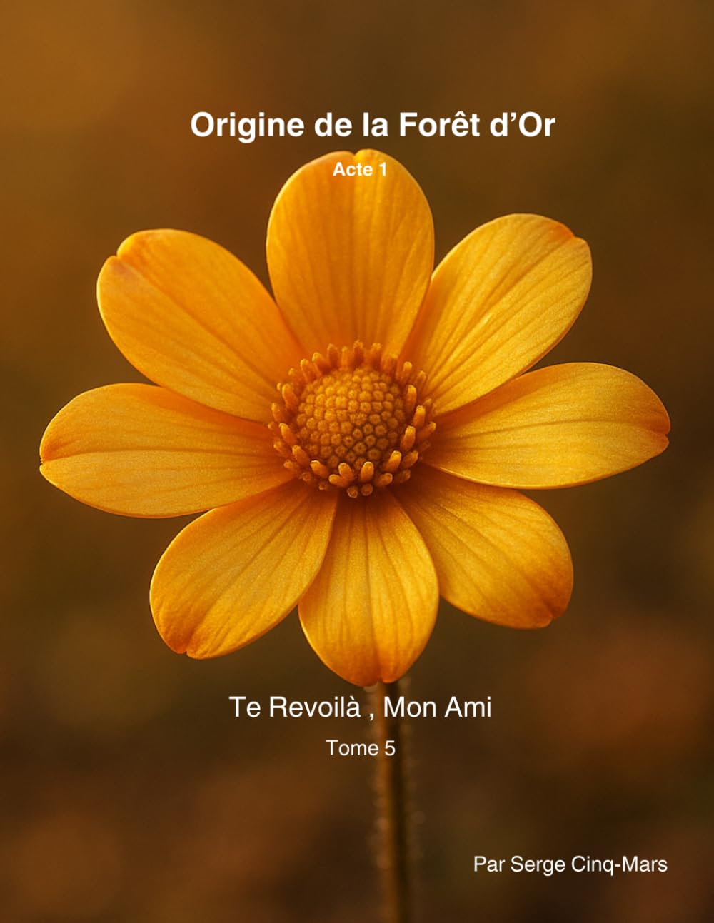 Origine de la Forêt d’Or: Te Revoilà , Mon Ami
