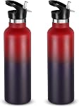 Neihepal Bouteilles d'eau en acier inoxydable argenté,24 Bouteille de voyage à double paroi à aspiration avec gouttière en paille à l'épreuve des fuites,Flacon de bouche standard réutilisable pour les randonneurs,Don
