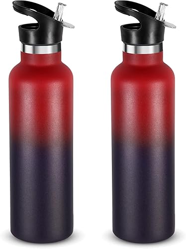 Miniatura 47 de Neihepal Botellas de agua de acero inoxidable plateadas, botella de viaje de doble pared aislada al vacío de 24 onzas con tapa de popote a prueba de