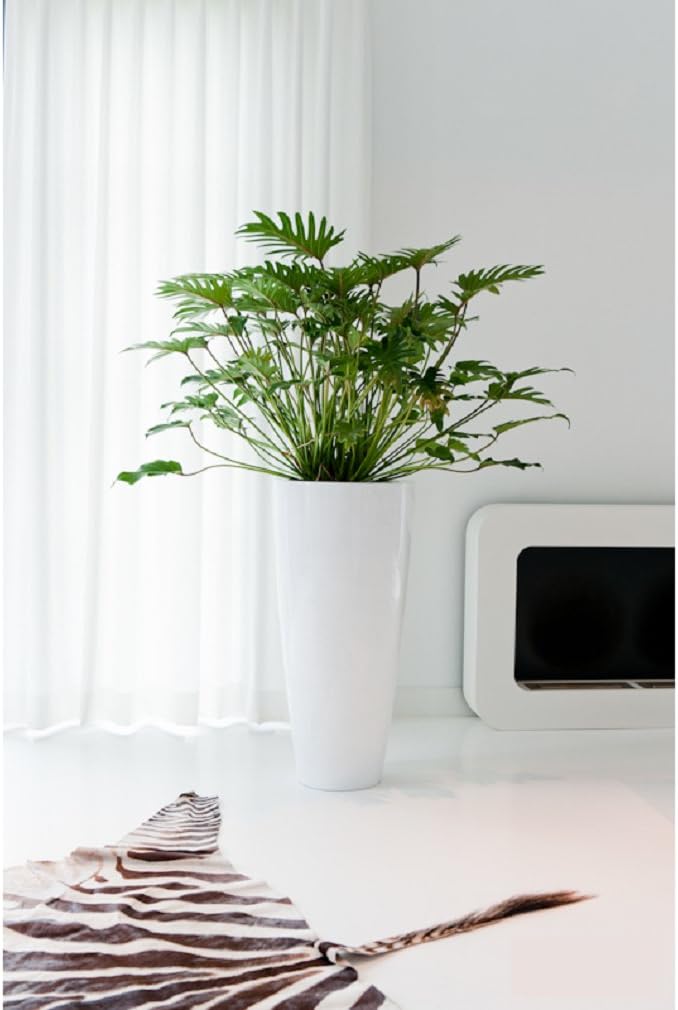 White Shiny Tapered Tall Planter Cylinder Fiberglass Vase Pot - 39.5"H x 19"W - Dax XL
