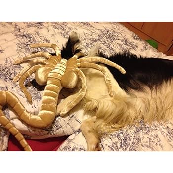 エイリアン ぬいぐるみ フェイスハガー Amazon.co.jp: Parlayildiz エイリアン フェイスハガー