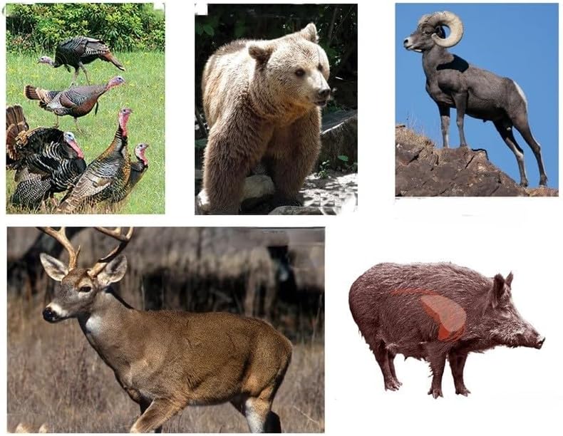 Hunting Target Pack - 25 Targets Total - Baker Targets