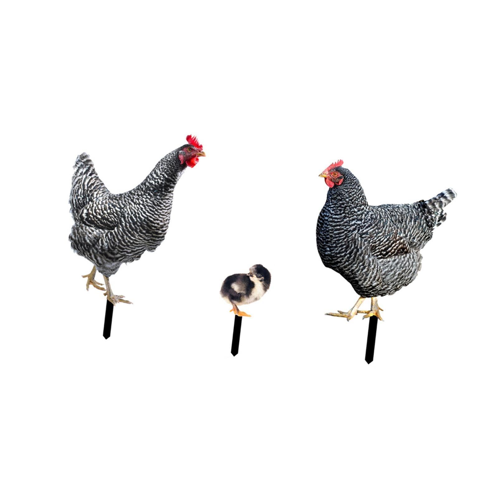 3 Pieces Chicken Animal Statue Animal Shaped Yard Stake for Pathway Decor-image-49