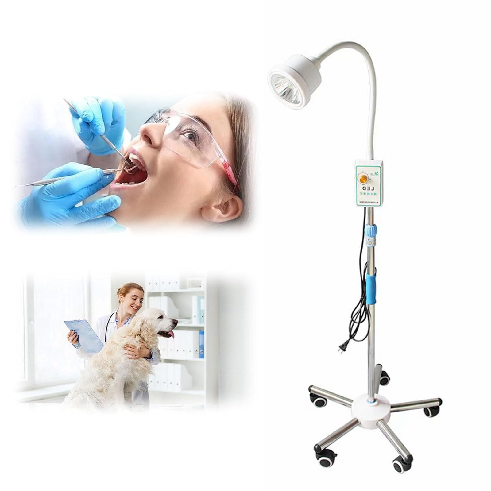 Lampa Do Badań Chirurgicznych LED 20W, Stojąca Lampa Medyczna Do Zabiegów Chirurgicznych, Przenośna Mobilna Lampa Do Badań Ginekologicznych, Lampa Bezcieniowa z Regulacją Jasności
