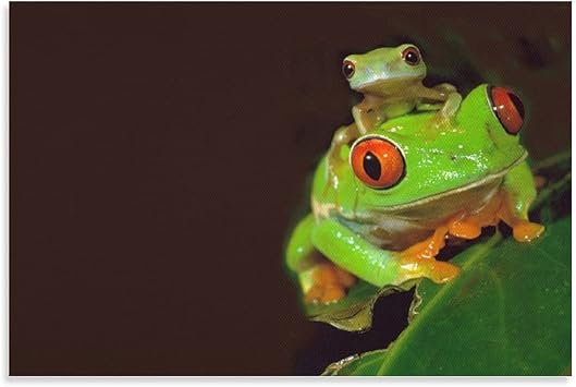 Amazon おかしいかわいい小さいカエルキャンバスプリント壁の装飾モダンポップアートエントランス絵画キャンバ壁掛けインテリア絵画部屋の装飾 フレームレス 24 36inch 60 90cm ウォールステッカー オンライン通販 Amazon おかしいかわいい小さいカエルキャンバスプリント壁の装飾モダンポップアートエントランス絵画キャンバ壁掛けインテリア絵画部屋の装飾 フレームレス 24 36inch 60 90cm ウォールステッカー オンライン通販