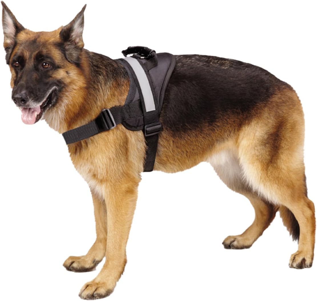 EXPAWLORER Big Dog Harness Soft Reflective No Pull Black Size M 20-26inch