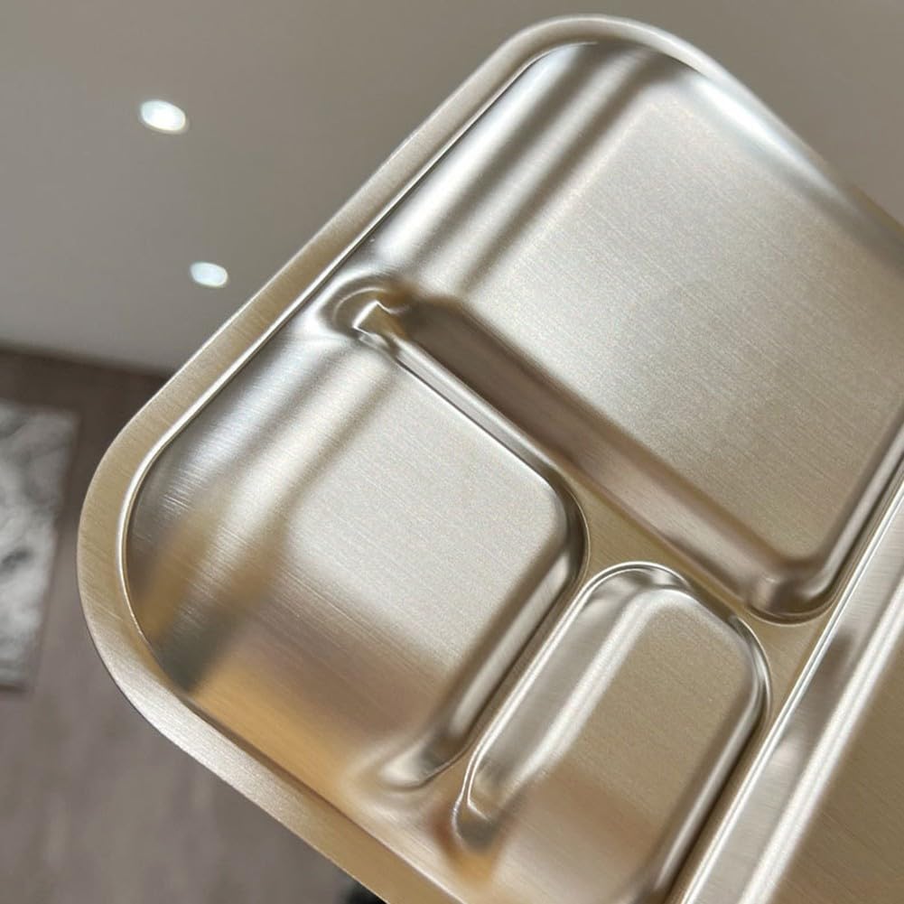 Homefurnishmall Assiettes à dîner divisées en acier inoxydable, 26 x 21 x 2 cm, vaisselle à 4 compartiments pour enfants, adultes, camping (pour tigre)