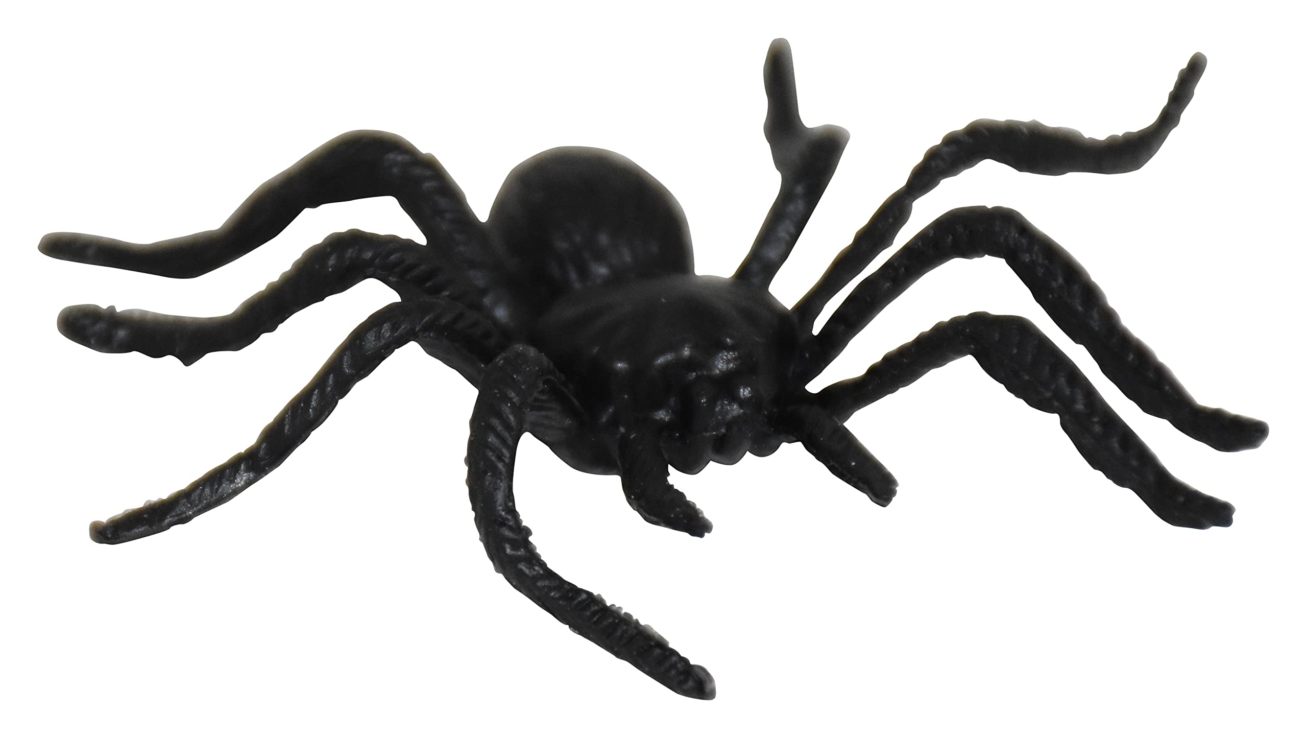 Jagmag® Small Spider, Halloween Decoration Spiders, Fake Tiny Spiders Terror Prank Props for Home and Party Decorations, Halloween Table Decoration (Set of 10) (B0BD1HF9Z9) Amazon Price History, Amazon Price Tracker