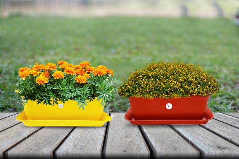 VINSHRA Plastic 20 Inch Terracotta and Yellow Flower Pot with Bottom Tray Set of 2 (1 Small Free) / Indoor Outdoor Use Pot/Plant Container/Rectangle Planter Drip for Terrace/Home & Balcony/