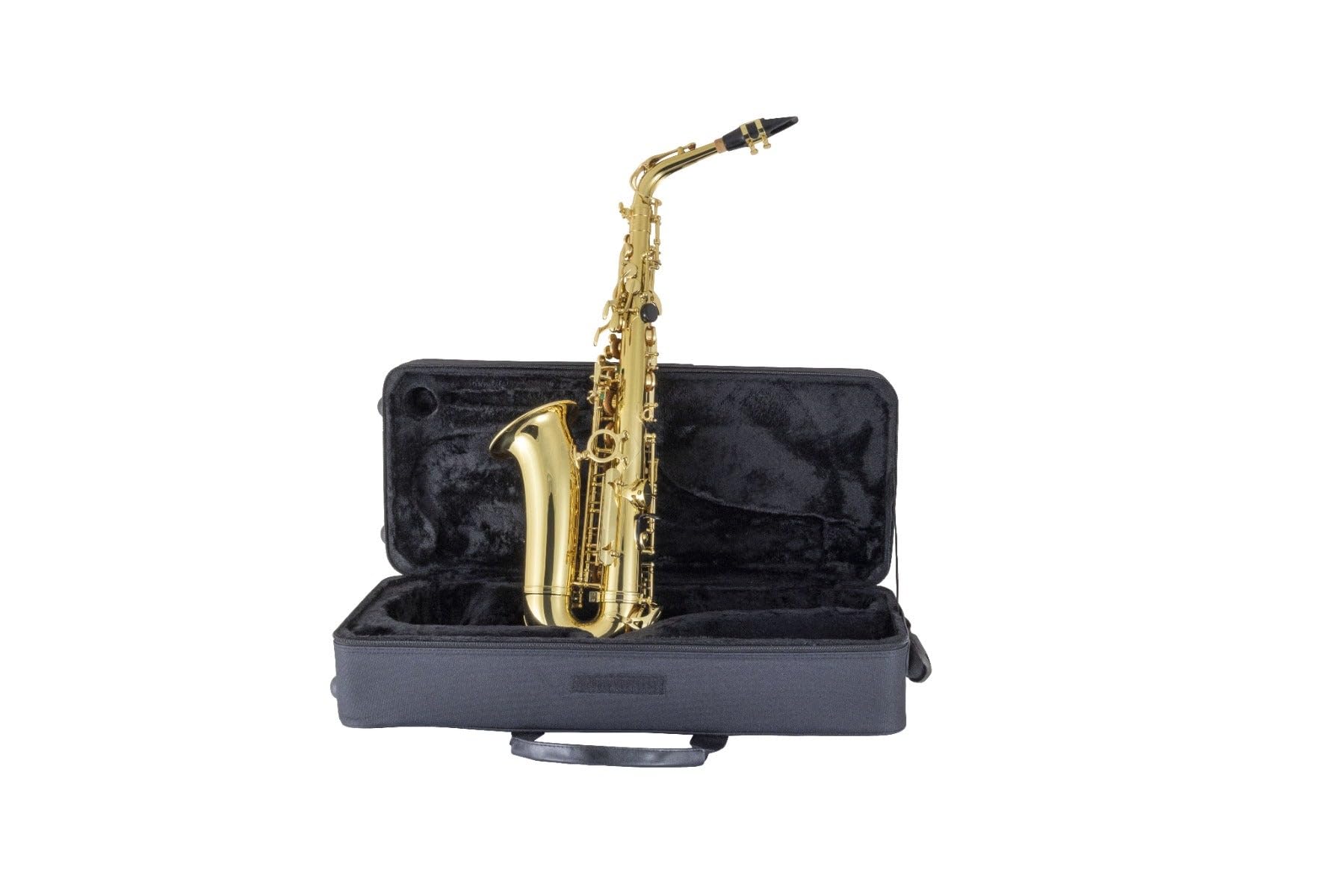 Amazon.com: Prelude by Selmer AS111 Student Alto Saxophone
