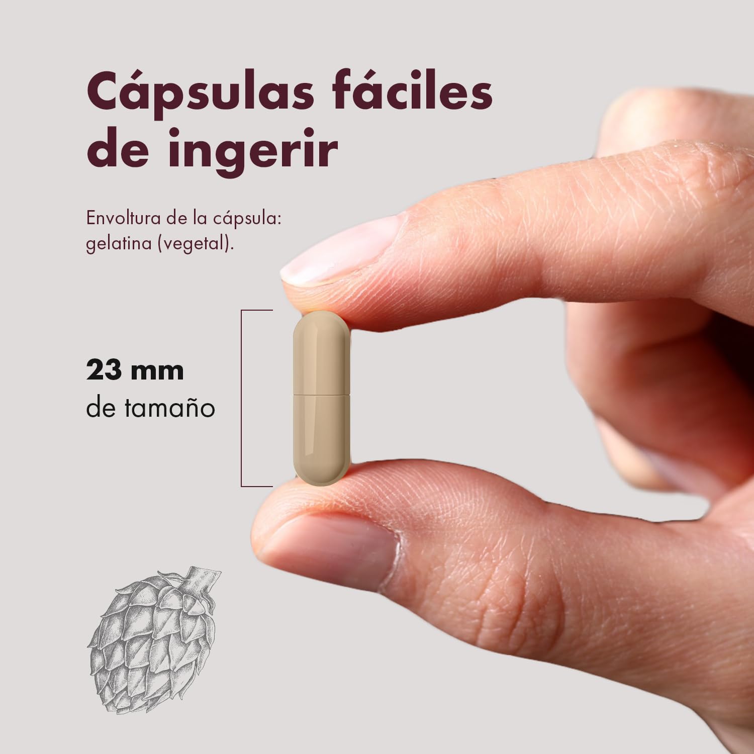 Granatum Plus - Extracto de Alcachofa con Cynamed - Suplemento Alimenticio - Detox Hepático y Digestivo - Bienestar Metabólico - Diurético Natural - Producido en España - 3 Caja 60 Cápsulas