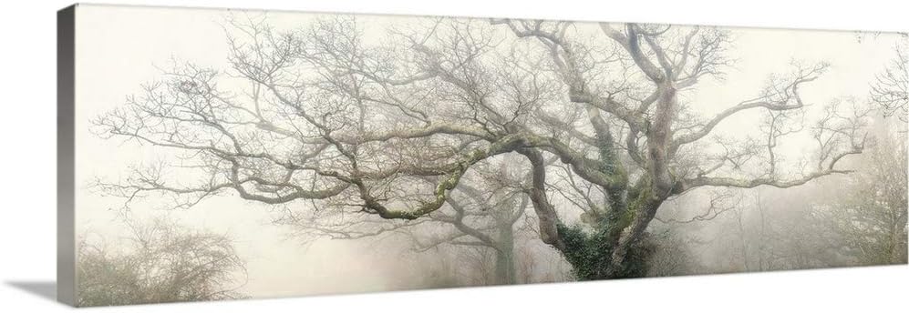 GREATBIGCANVAS Panoramic Octopus Ghost Oak Canvas Wall Art Print, Tree Home Decor Artwork, 48"x16"x1.5"