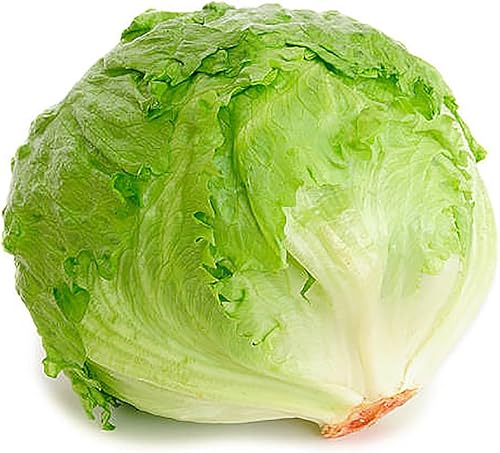 Miniatura 5 de Semillas de lechuga iceberg: cultivo de otoño y plantación de temporada fría