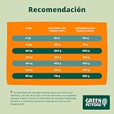Ver la foto 4