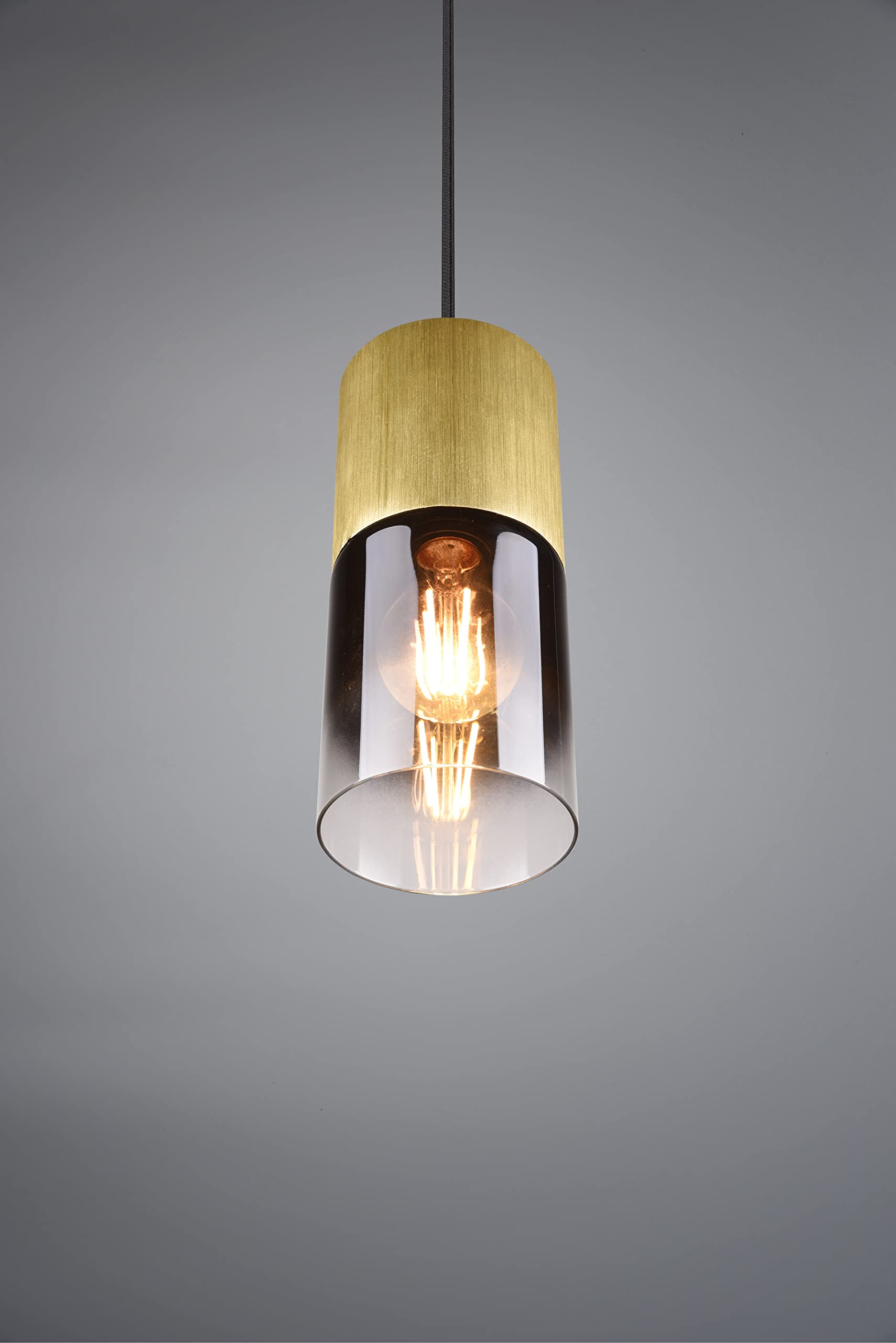 Trio Leuchten Lampa wisząca Robin 310600154, metal mosiądz matowy, szkło w kolorze przydymionym, ekskluzywna 1 x E27