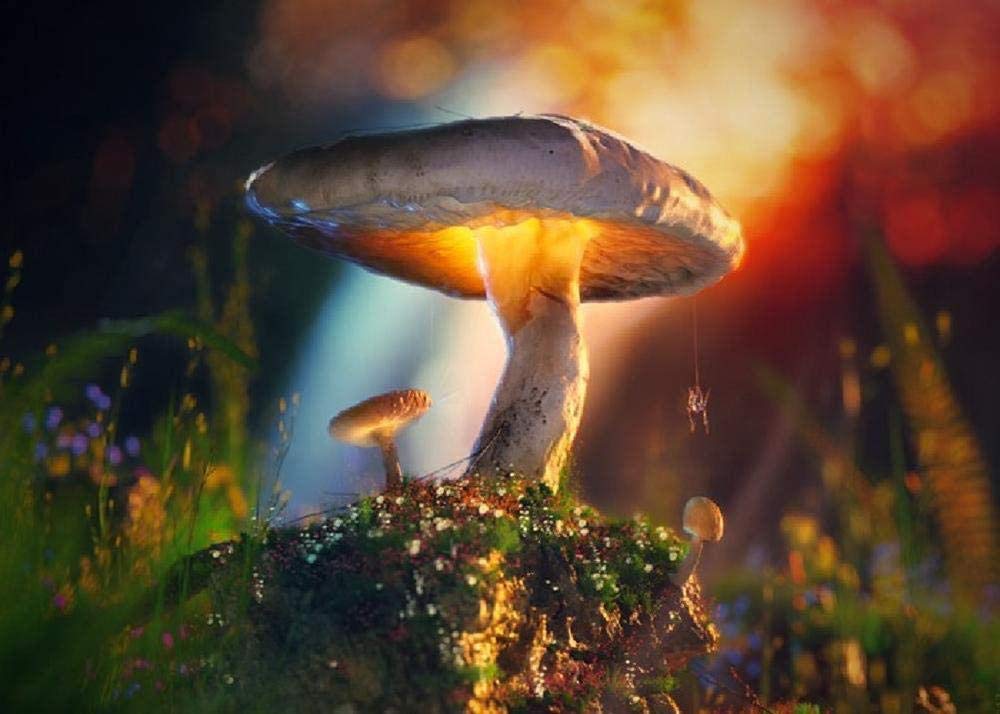 Rompecabezas Adultos Niños Rompecabezas de Madera 6000 piezaschampiñónJuguetes Niños Puzzles para Adultos Es Un Buen Regalo para Amigos