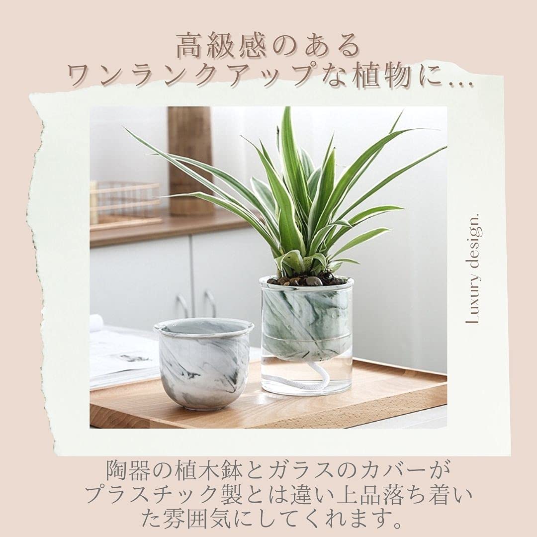 Amazon.co.jp: 3world 植木鉢 陶器 + ガラスカバー 自動給水