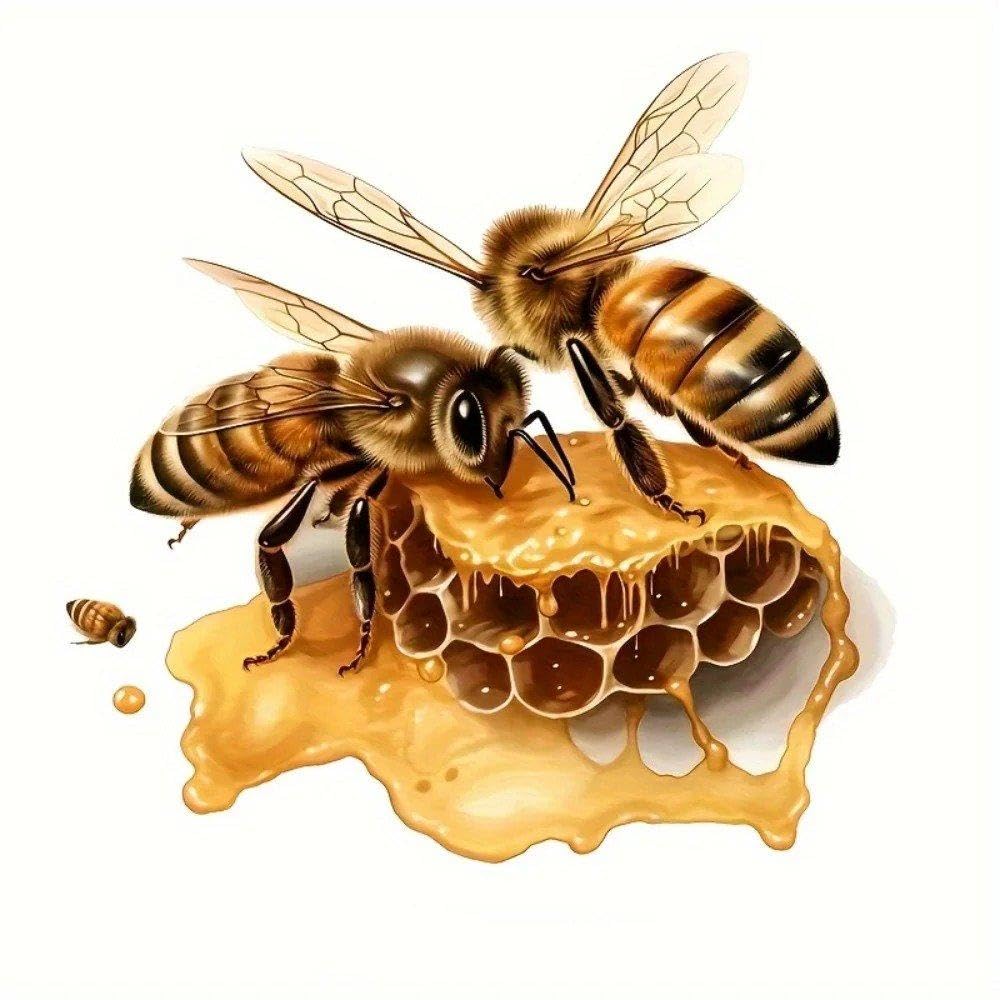 Bee Honeycomb Vinyl Decal, Removable No Residue Sticker for Cars Laptops Fridge Furniture