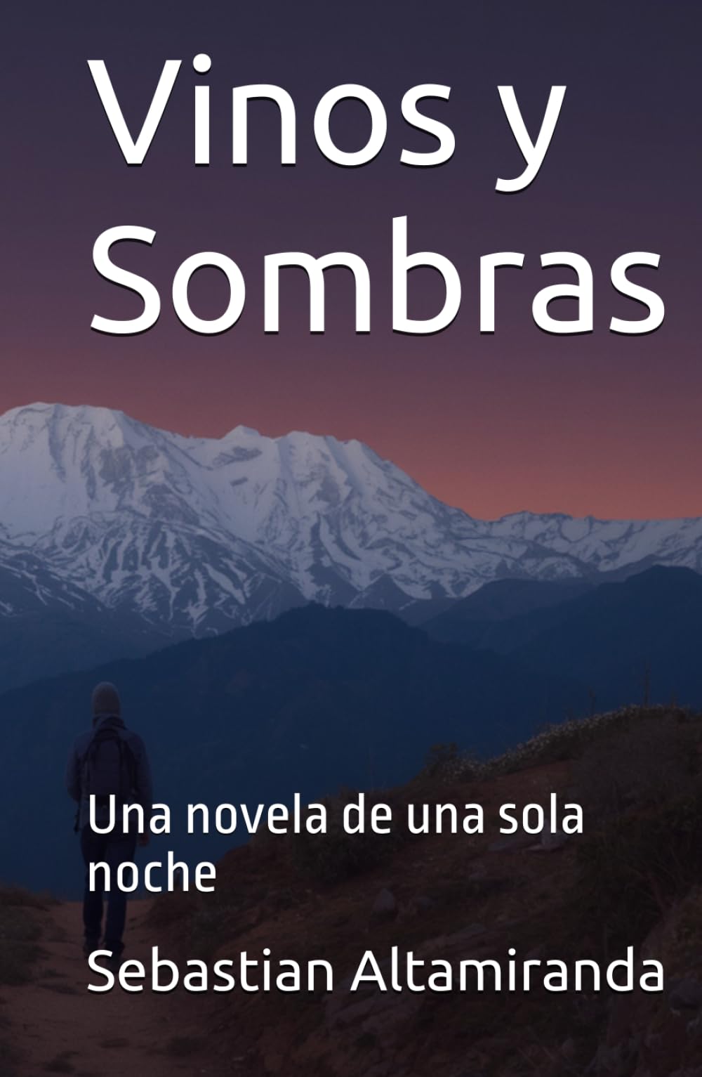 Vinos y Sombras: Una novela de una sola noche