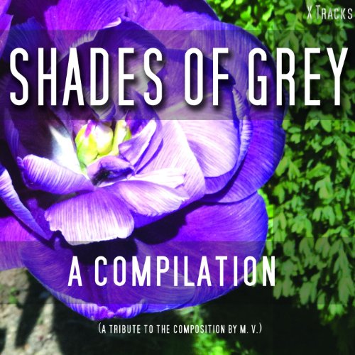 Shades of Grey A Fifty Track Compilation von Shades of Grey A Fifty
