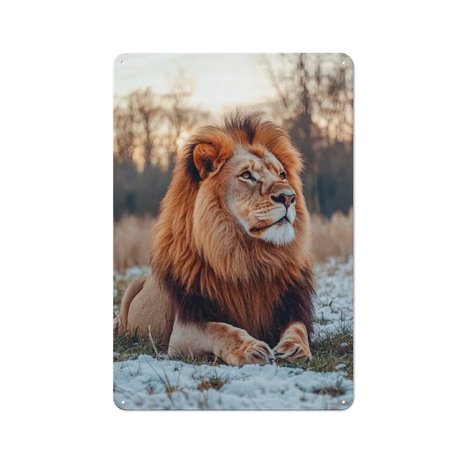 Junmoney Style-21 Majestic Lion Portrait In Winter Tin Sign 30X20cm For Hallway Wall, Retro Wall Decor, Suited To New Home Decorators