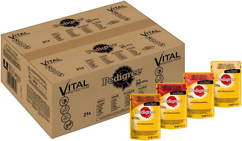 calcio in pelle per cani