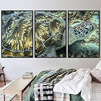 3 Piece Framed Canvas Wall Art Turtle Under The Surface Canvas Prints Home Artwork Decoration for Living Room,Bedroom - 16