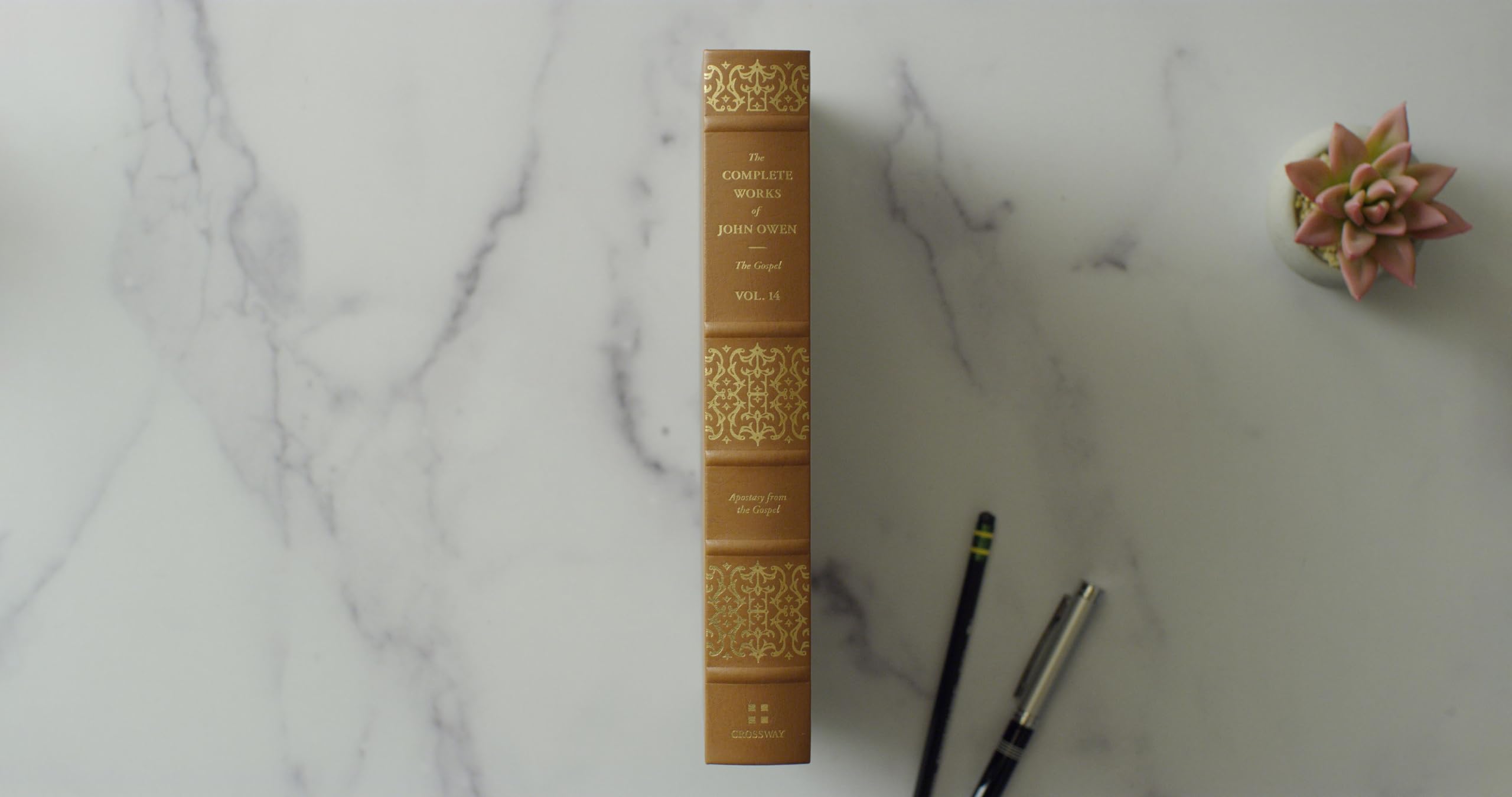 Apostasy from the Gospel (Complete Works of John Owen)
