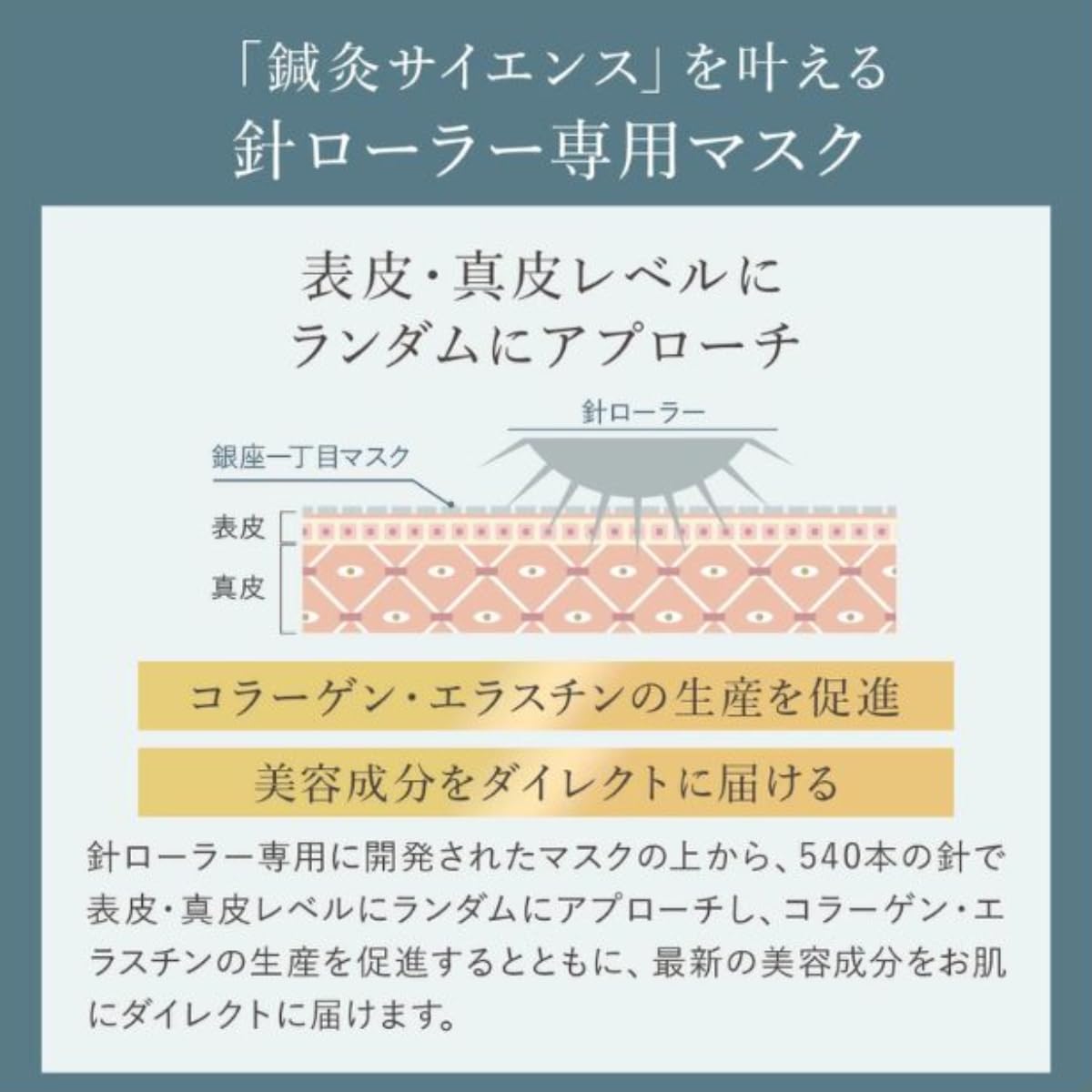 Amazon | 【メーカー公式】 リニューアル前 銀座一丁目マスク 12枚 