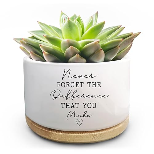 Coworker Thank You Gifts, Funny Succulent Plant Pot, Flower Cactus