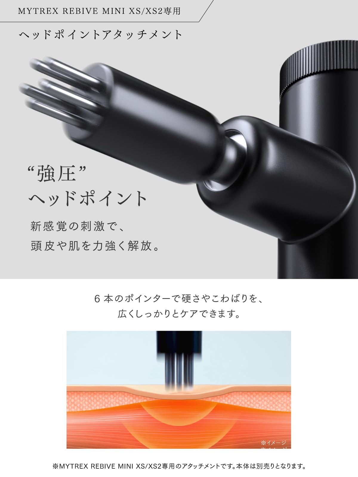 Amazon | 【MYTREX REBIVE MINI XS/XS2専用】ヘッドポイント