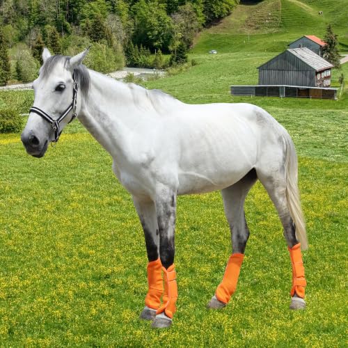 Image of Horse Fly Boots, Mesh Fly Boots for Horse Set of 4, Equine Leg Protection | Breathable Horse Leg Fly Wraps, Horse Leggings Reduce Stomping, Non-Slip Leg Guards for Mini Pony Horse Donkey