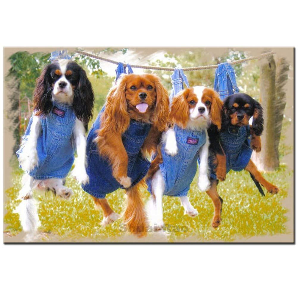 Diamond Painting Full Drill Kits Cavalier King Charles Spaniel Dogs 25x30cm 10x12in DIY 5D Diamond Art Pictures Embroidery Painting Crystal Cross Stitch Pasted Canvas for Home Wall Decoration