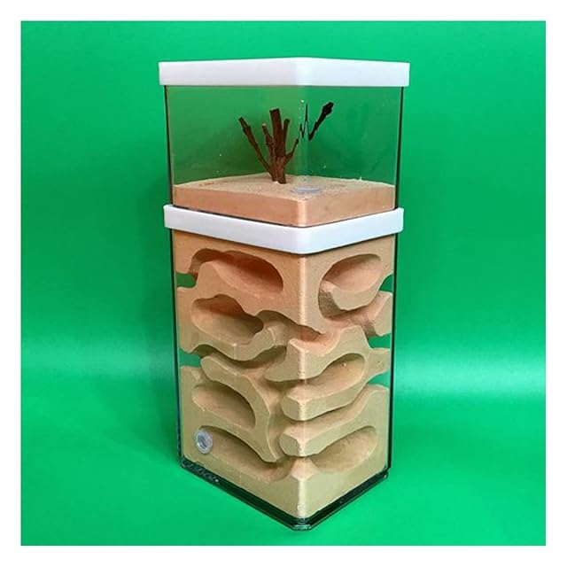 Granja De Hormigas Conveniente Cómodo Hormiguero Ants Nest Gran Espacio AntHouse Ant Farm Yeso Formicarium…