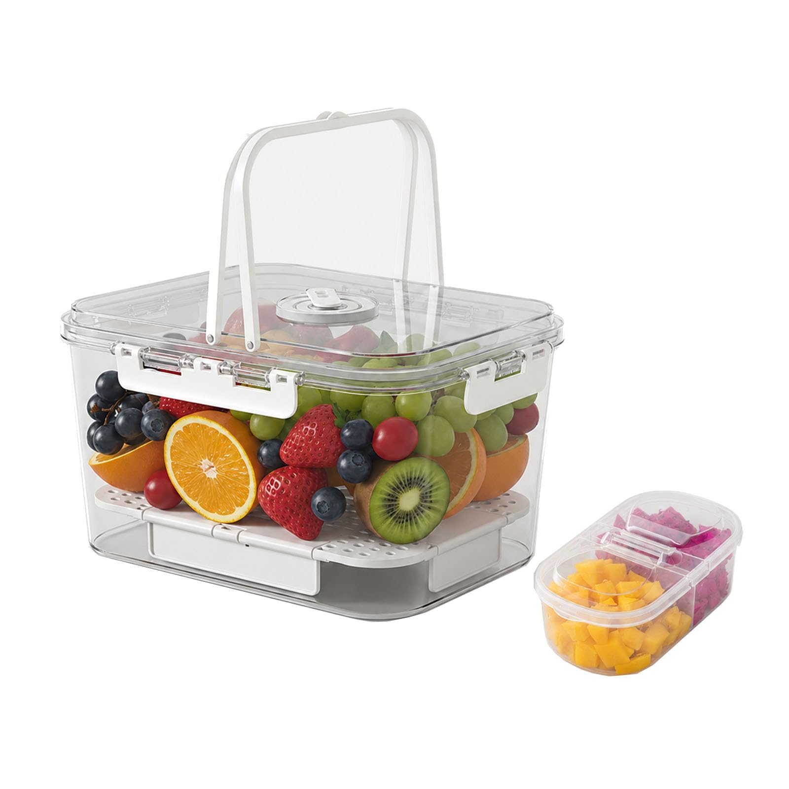 Raoletin Portable Picnic Basket with Handle, Travel Platterbox with Ice Tray for Outdoor, Beach, Hiking, 2 Independent Snack Tray with Lid for Fruit, Veg, Snacks, Veggies, Snacks, Keep Food Cold