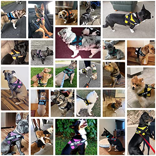 Bolux Dog Harness, No-Pull Reflective Dog Vest, Breathable Adjustable Pet Harness With Handle For Outdoor Walking - No More Pulling, Tugging Or Choking (Black, M) #TOP3