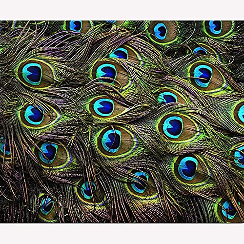 Kits diamant peinture paon complet grand format 80x180cm art craft