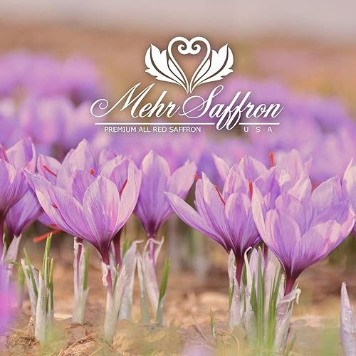Miniatura 4 de Mehr Saffron, hilos de azafrán rojo de alta calidad