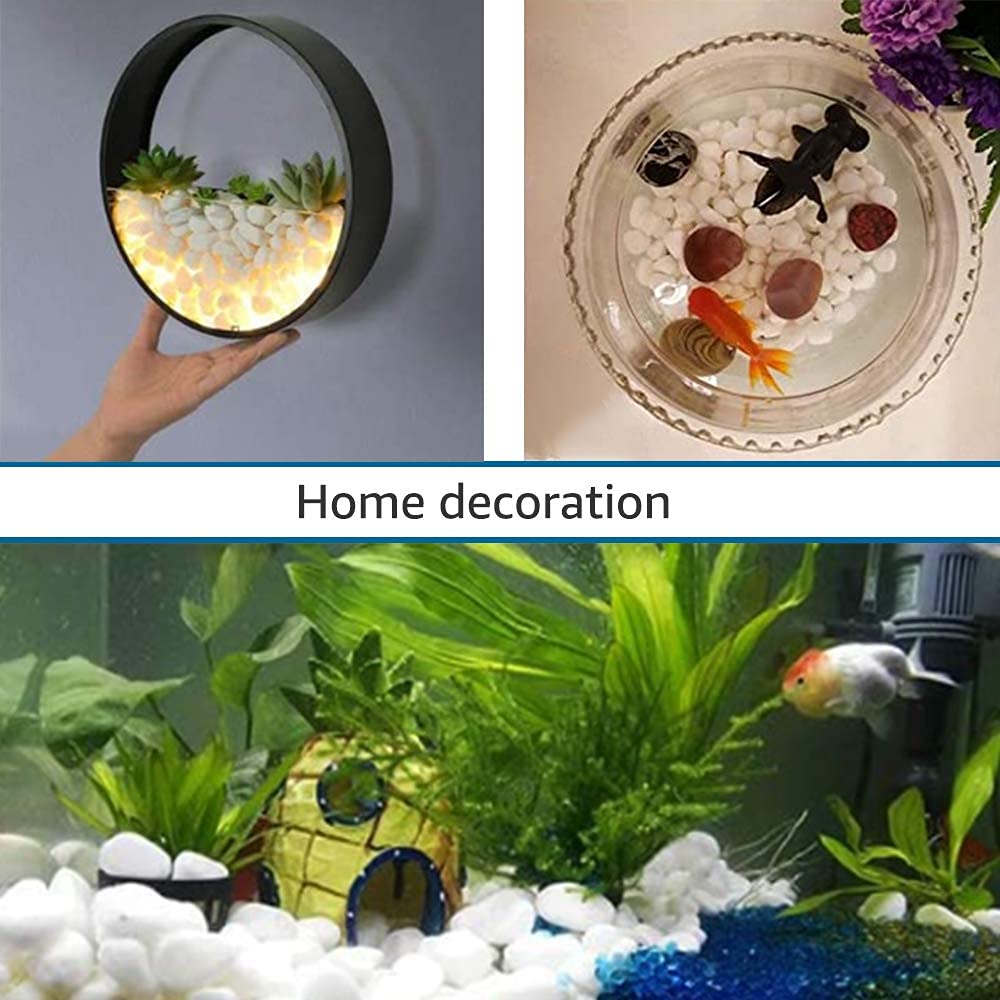 CJGQ - Ciottoli decorativi a forma di fagioli bianchi, misura 1/2" (sacchetto da 3,2 kg)...