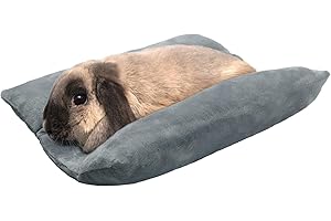 Cozy Indoor Haven for Your Petite Rabbit