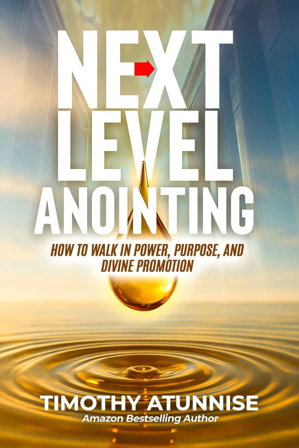 Next Level Anointing: How to Walk in Power, Purpose, and Divine Promotion